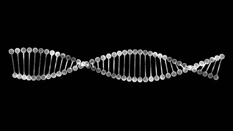 análisis de las cadenas de adn