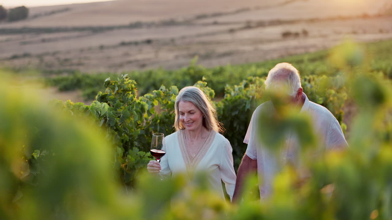 una pareja mayor disfrutando de la degustación de vino en un viñedo al atardecer