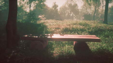 un banco de madera pacífico en un bosque de niebla