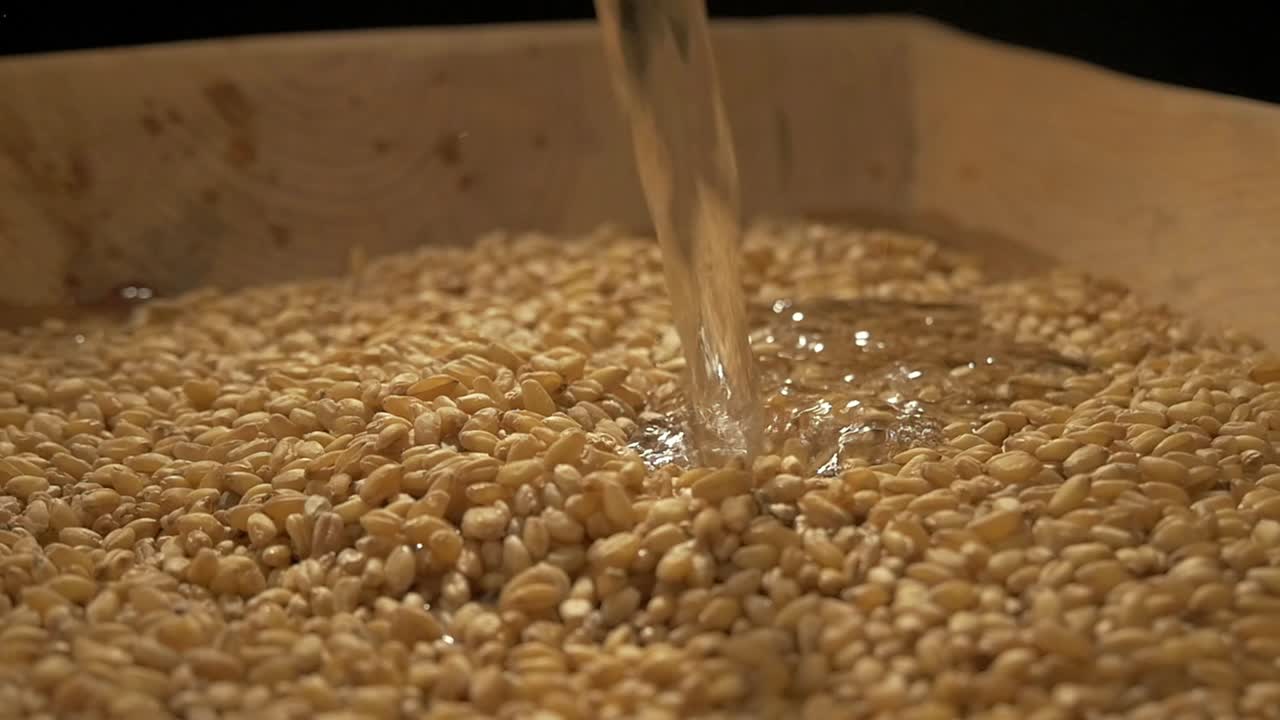 Slow motion. Grain and water pours into a wooden bowl