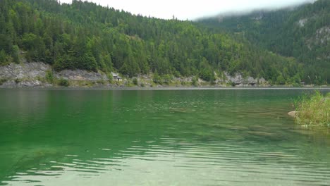 rippling surface of green colour lake of gosausee