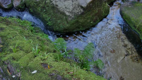Drehende-Hochwinkelansicht-Des-Kleinen-Bemoosten-Wasserfalls-In-Den-Grünen-Pool