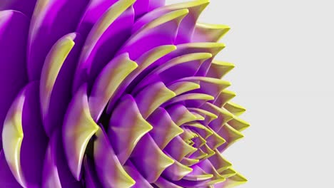 a digital art animation of purple and yellow lotus flower opening in loop 3d rendering vertical