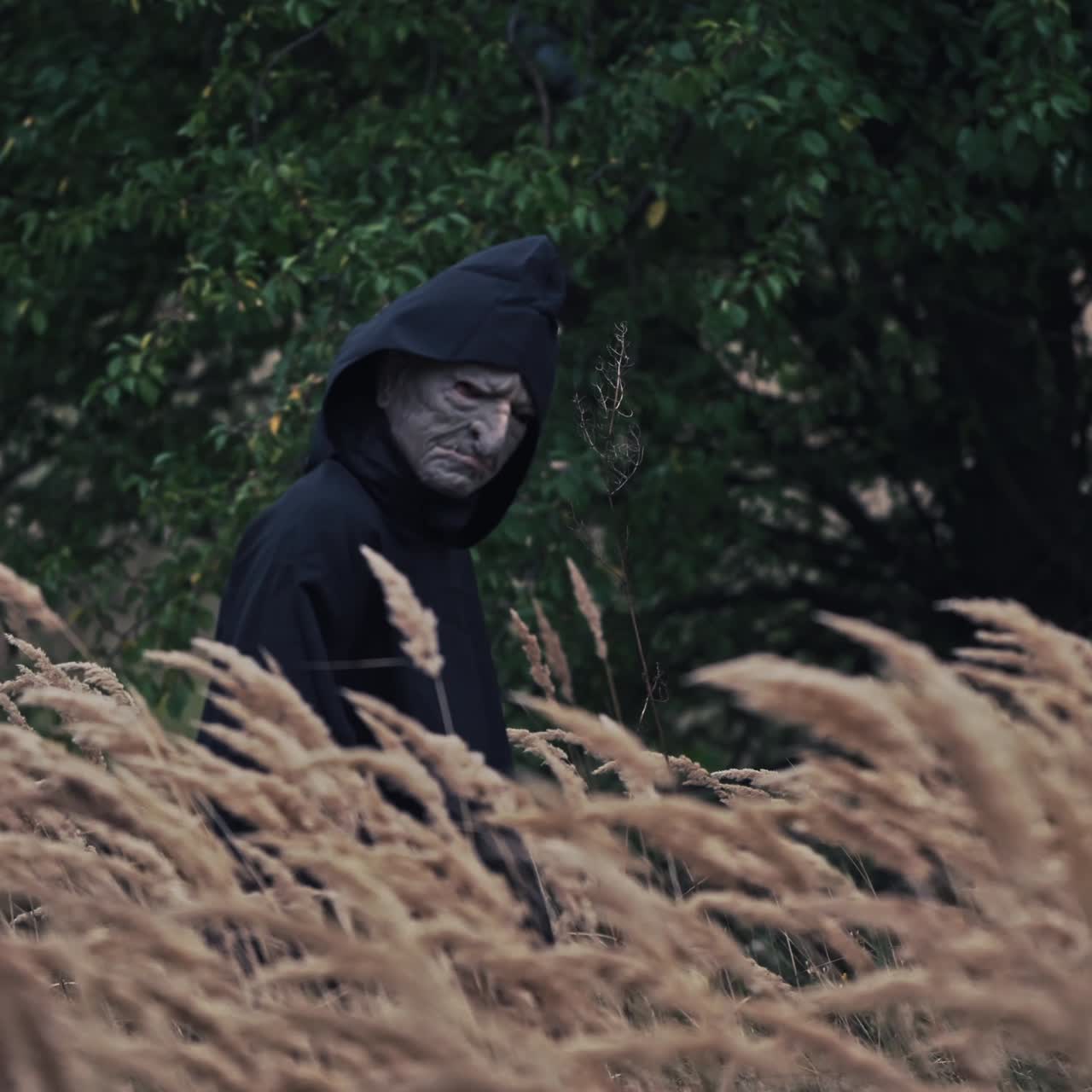 Side view of dark figure on field. Ghost in black costume with hood walking on green trees background. Scary face of witch. Halloween time.