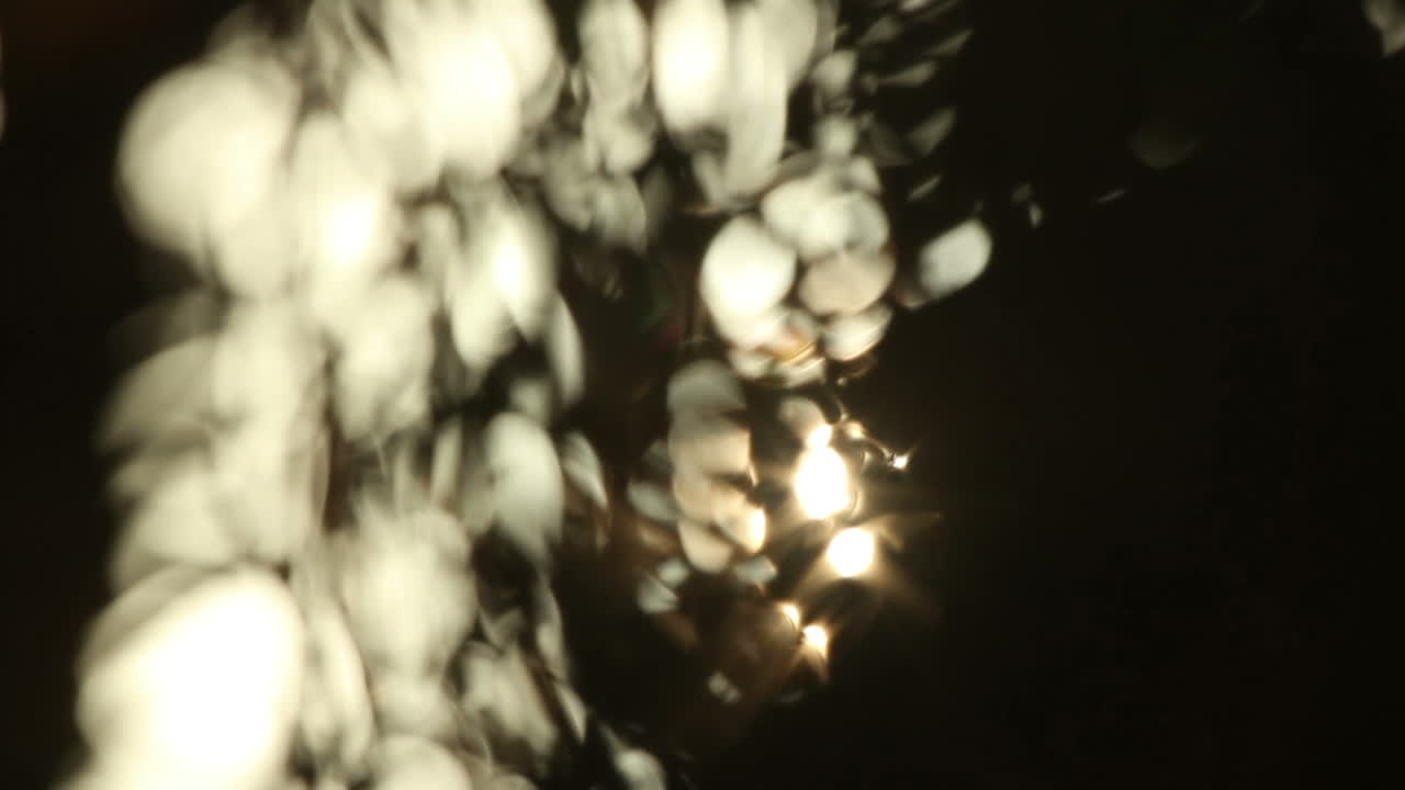 cancun palms video 16