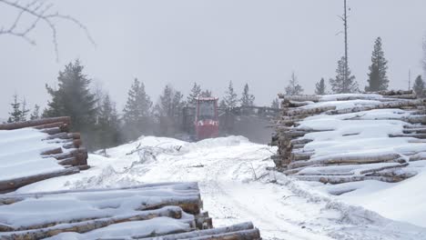 Snow-capped-tree-Log-piles-stored-along-Nordic-Sawmill-in-Sweden---Wide-shot