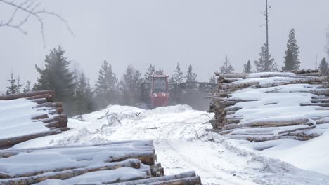 snow-capped tree log piles stored along nordic sawmill in sweden - wide shot