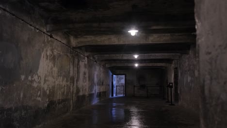 a dimly lit gas chamber at auschwitz with cold concrete walls a haunting reminder of the holocaust's