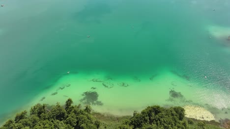 a bird's eye view of the clear hallwilersee lake. a shot of a nearby shipyard with small boats for rent to visitors