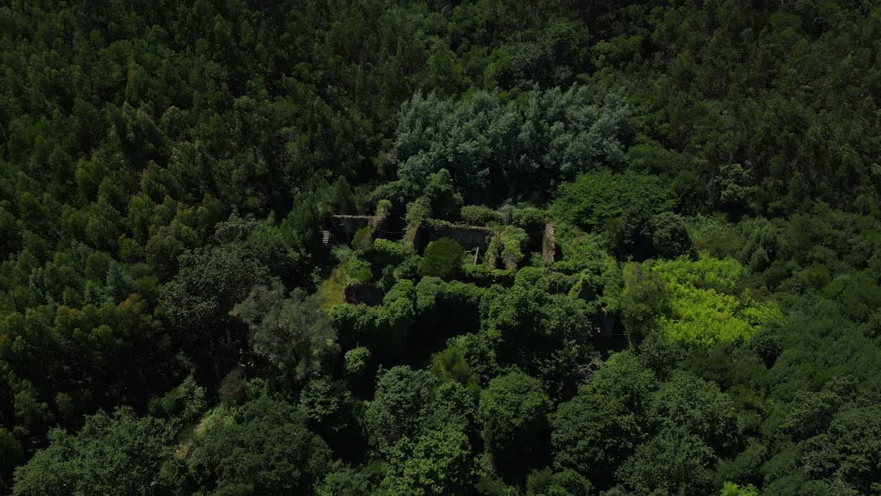 ruinas aéreas cubiertas de vegetación del convento de são francisco do monte, ubicado en un denso bosque cerca de viana do castelo, portugal