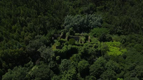 aerial overgrown ruins of convento de são francisco do monte, nestled in dense forest near viana do castelo, portugal