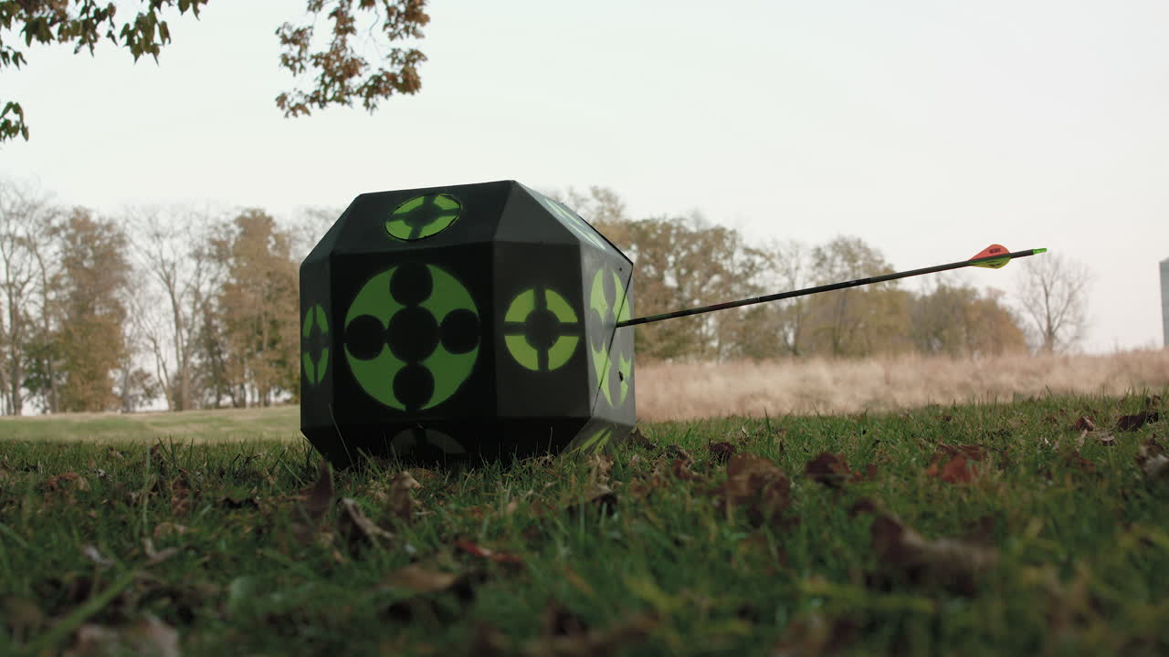 Archery Target with Arrow