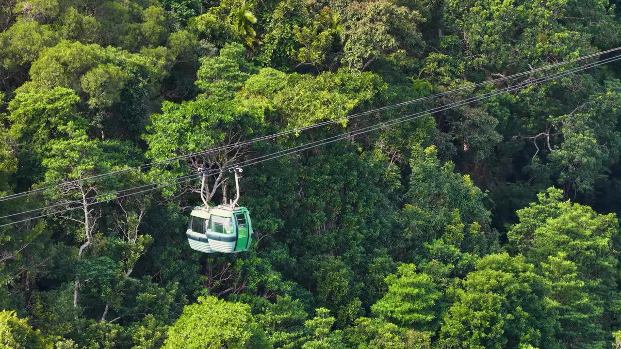 Cabine verdi della funivia scorrono fluidamente sopra la fitta chioma della foresta pluviale tropicale di giorno, riprese con una prospettiva aerea stabile e un'illuminazione naturale vibrante