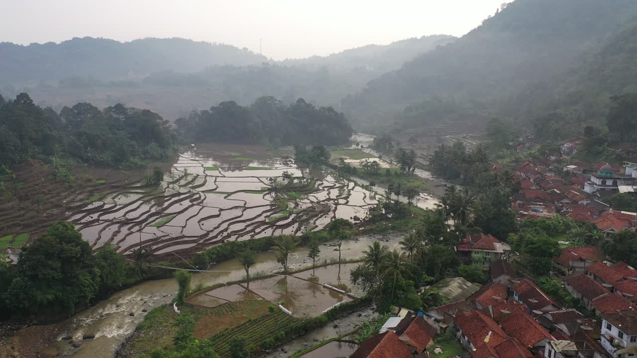 terrazas de arroz en un valle de niebla