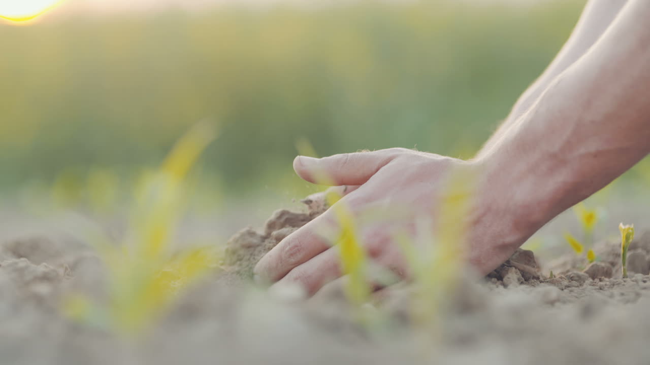 유기농 토양을 붓는 농부 11