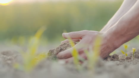 Farmer-Pouring-Organic-Soil-11