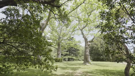 a sunny day in the park