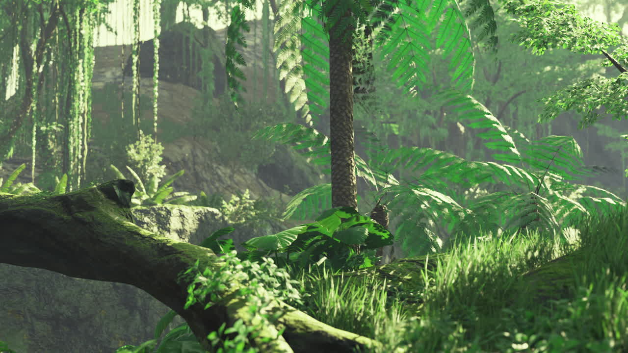 Lush green jungle filled with vibrant foliage and towering trees in daylight