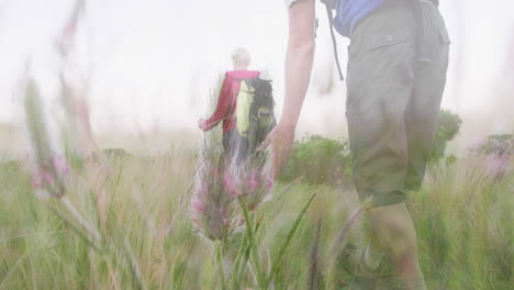 feliz pareja de ancianos caucásicos caminando en el campo sobre plantas silvestres
