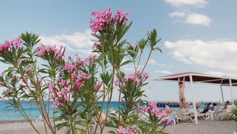 a comfortable beach by the sea in the foreground there are beautiful flowers rest by the sea 4k vide