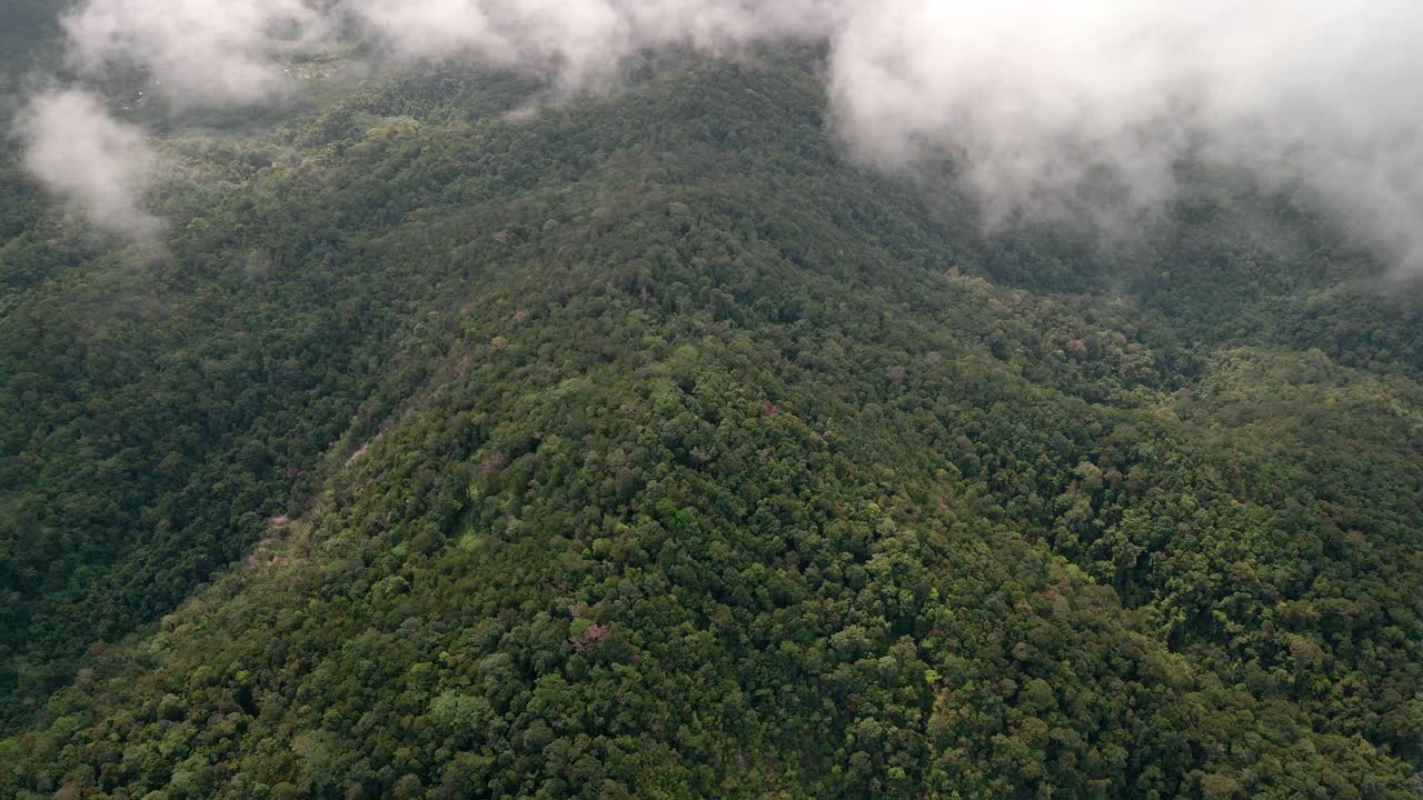 imágenes aéreas de la selva tropical y las nubes que pasan