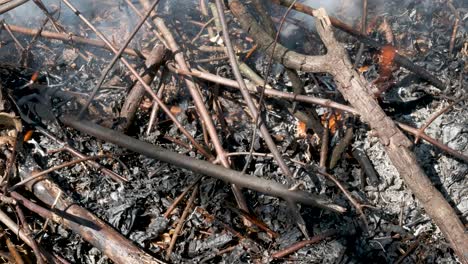 Palos-Y-Hojas-Ardiendo-En-Un-Incendio-En-El-Patio-Trasero