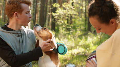 couple with beagle dog on a picnic in the forest