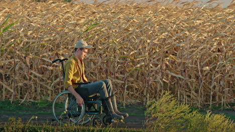 hombre en silla de ruedas en un campo de maíz al atardecer