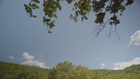 revealing panoramic tilt down view of the vikos-aoos national park forest
