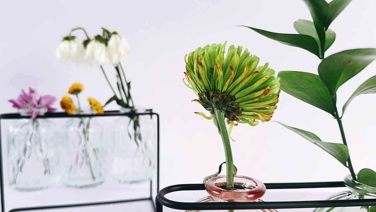 유리 꽃병에 말린 꽃