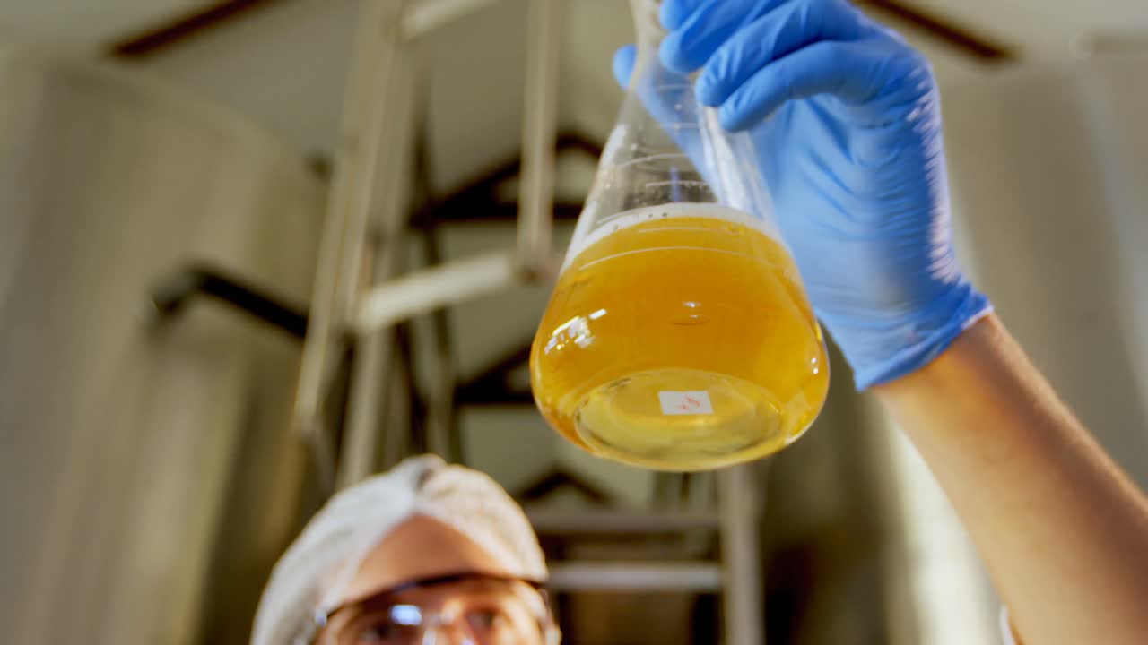 양조기 테스트 맥주 4k