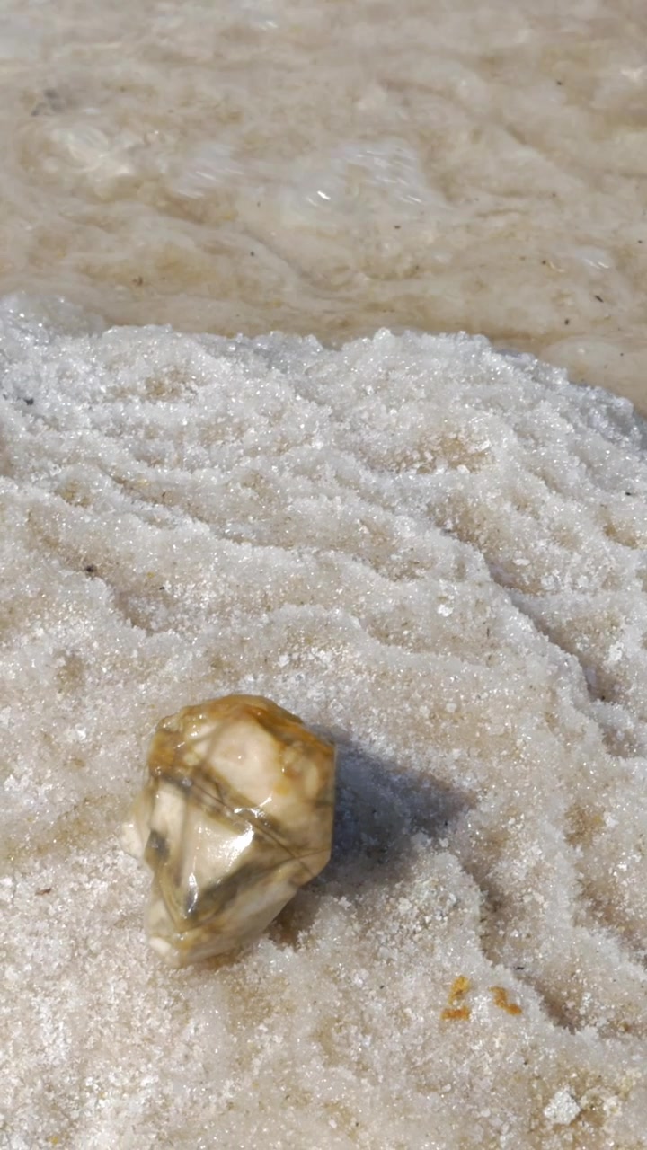 Dead Sea shore with salty beach