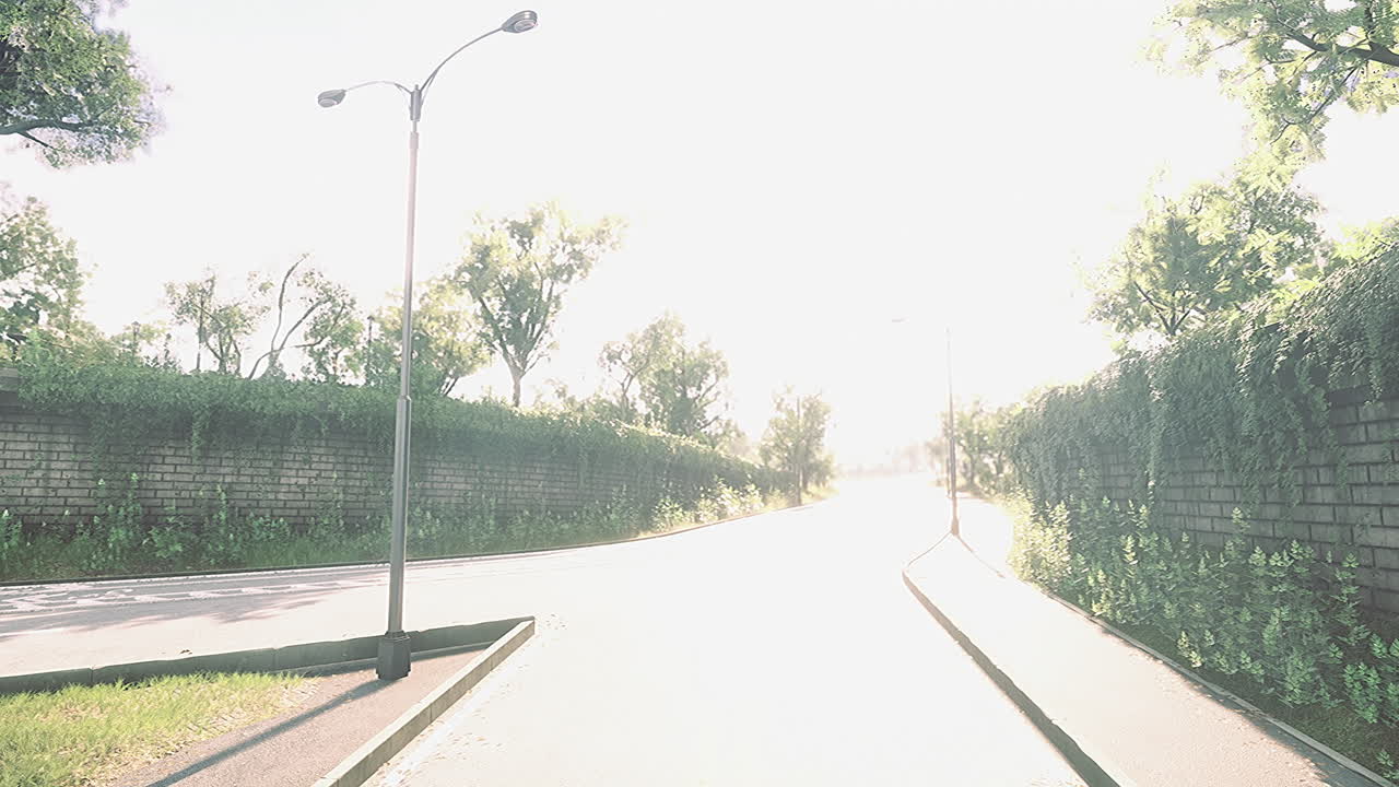 Bright afternoon on a suburban road with lush greenery lining the pathway