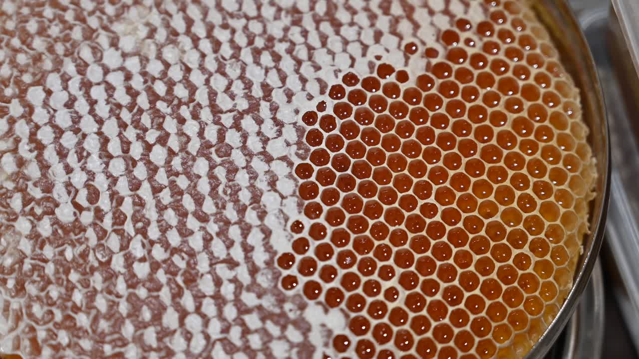 4K Footage: Fresh honey in a honeycomb close up