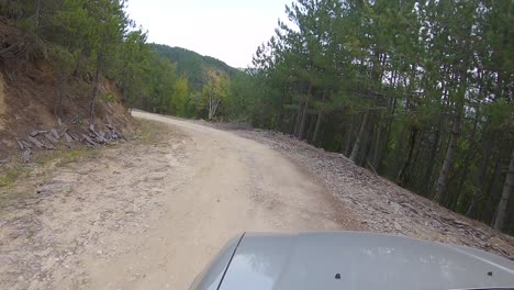 paseo en 4x4 por la naturaleza 4