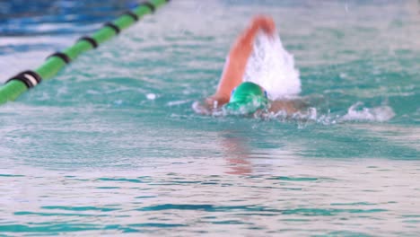 fit swimmer doing the back stroke in the swimming pool