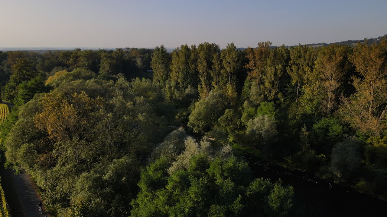un vuelo sobre los árboles con el descubrimiento de la naturaleza circundante y las colinas detrás del río