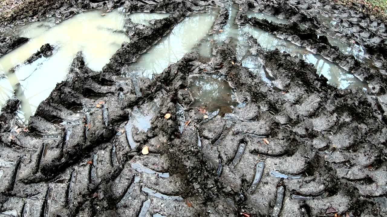 습한 숲의 토양에서 차량 트랙, 토양 압축, 산림