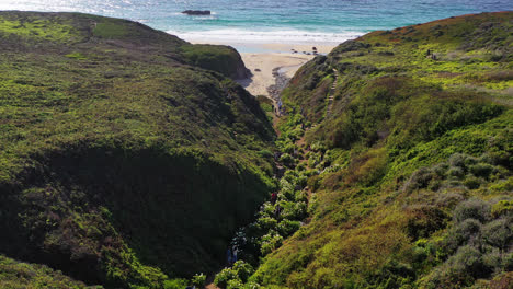 aerial view of the beautiful flowers growing between the green hills by the pacific ocean