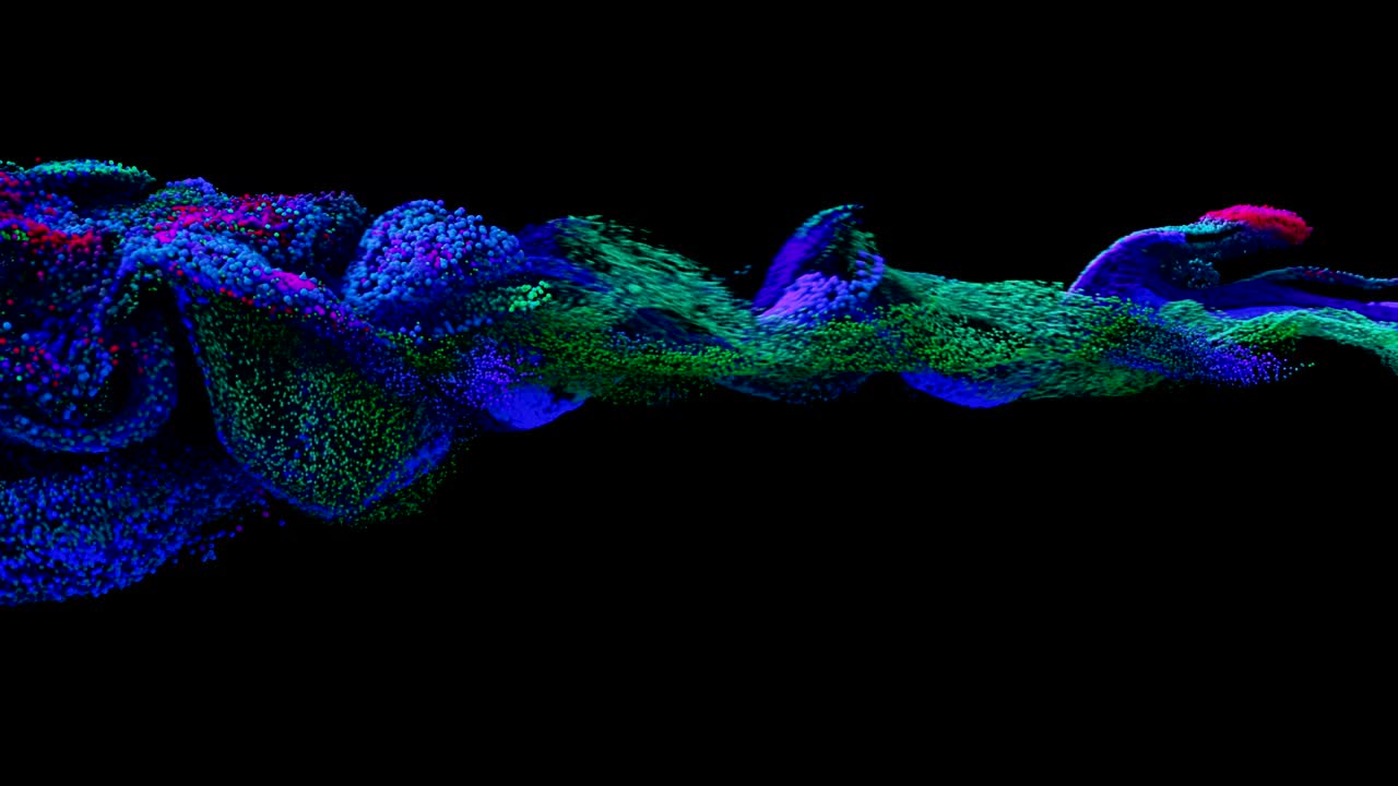 Fluid / paint simulation exploding forward.