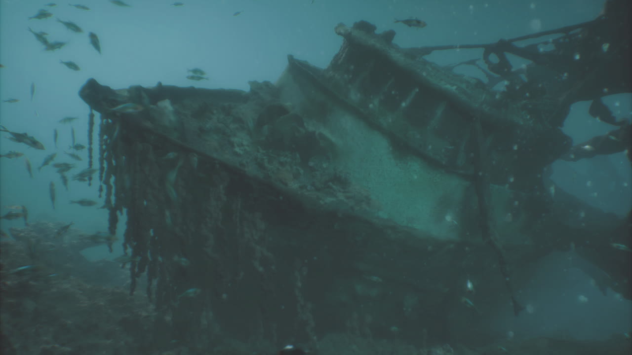 Sunken shipwreck resting on the ocean floor captivates underwater explorers