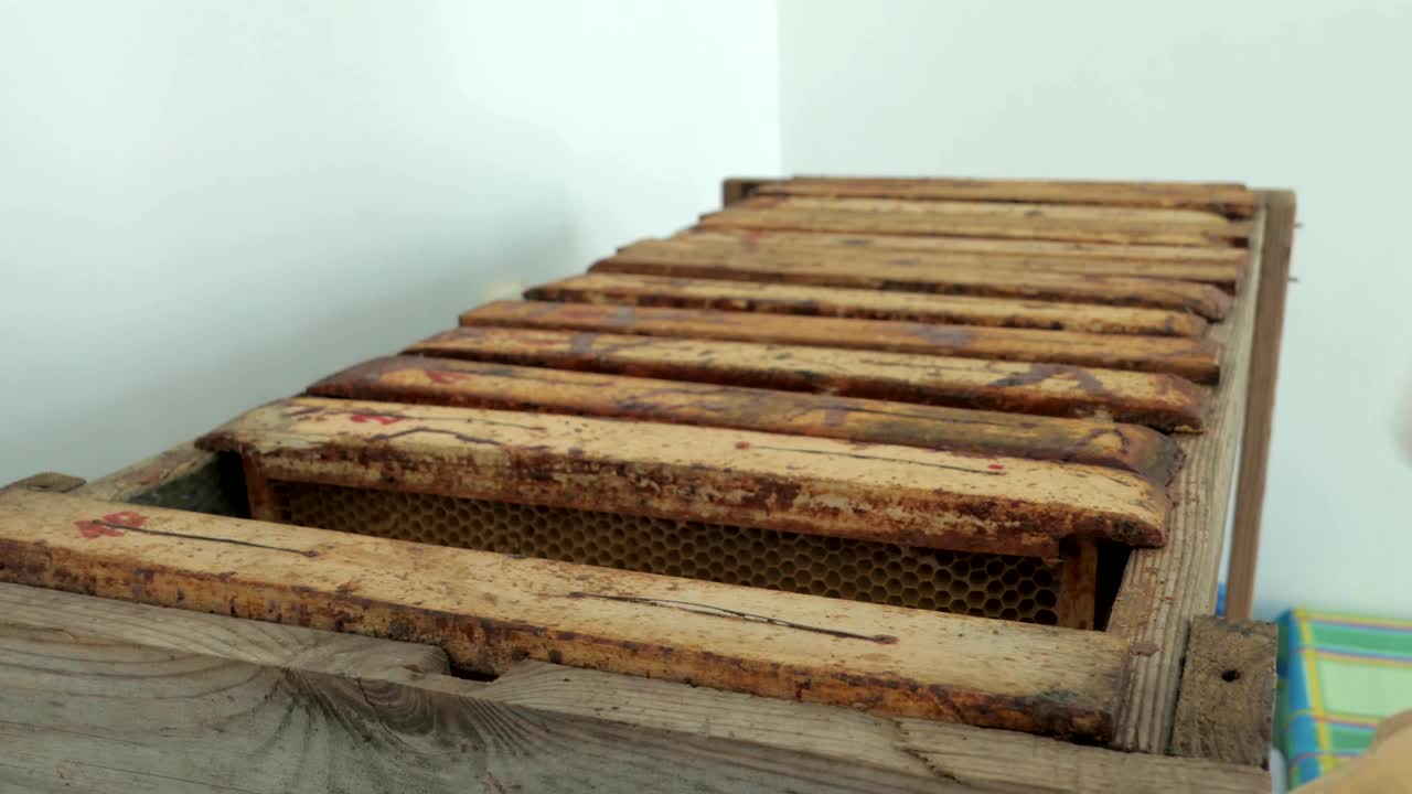 frame, beehive, honeycombs after centrifugation