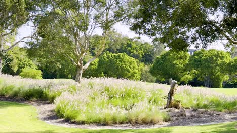 lush greenery and trees in peaceful setting