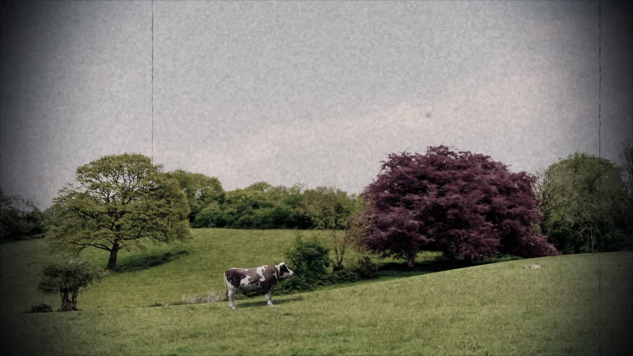 외계인 납치 소, ufo, 신원 확인되지 않은 비행 물체, 외계인 근접 만남