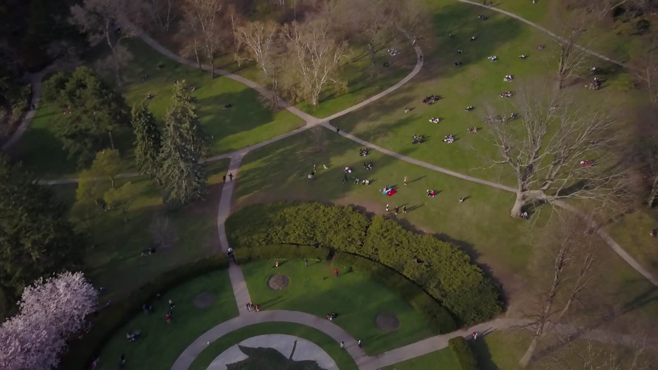 Maple leaf garden in Toronto's High Park
