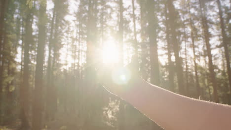 hand touching sun reaching for sunlight shining between fingers catching sunshine in forest woods