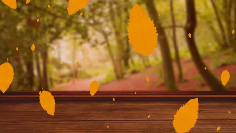 Animation-of-autumn-leaves-falling-over-trees-and-wooden-surface