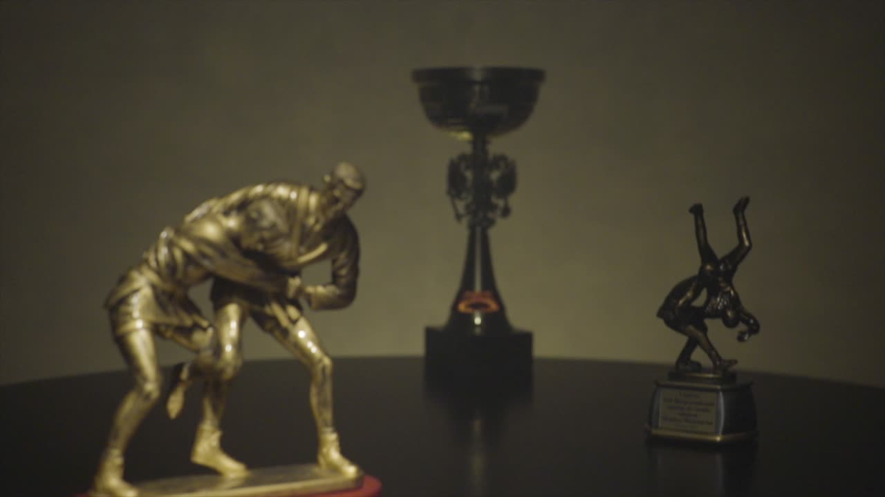 Wrestlers Trophies