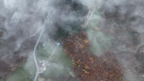volando sobre el bosque de niebla