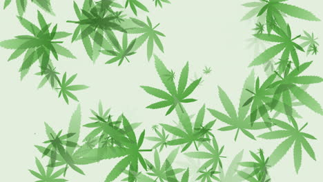 green abstract background with flying geometric leaves marijuana pattern. loop medical animation.
